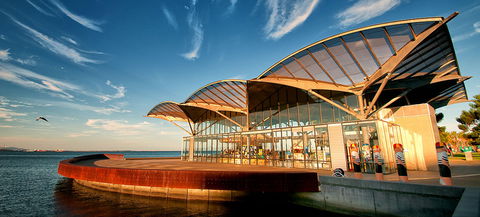The Carousel - Accommodation QLD 0