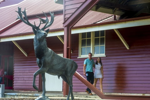Toogoolawah - Accommodation QLD 1