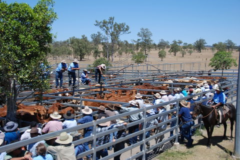 Toogoolawah - Accommodation QLD 2