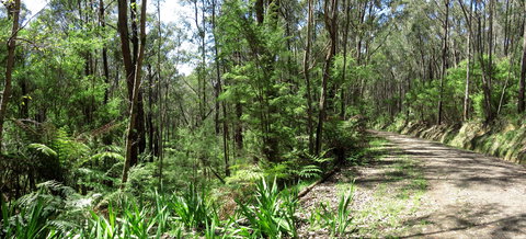 Tyers Park - Accommodation QLD 0