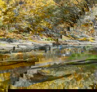 Warrabah National Park - Accommodation QLD