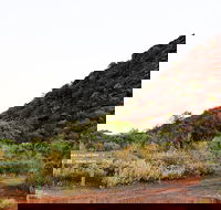 Whyalla Conservation Park - Accommodation QLD