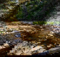 Wilson River picnic area - Accommodation QLD