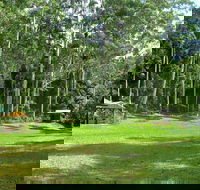 Woolgoolga Creek Picnic Area - Accommodation QLD