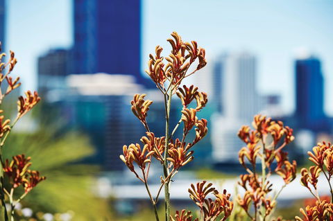A Day In Perth - Accommodation QLD 1