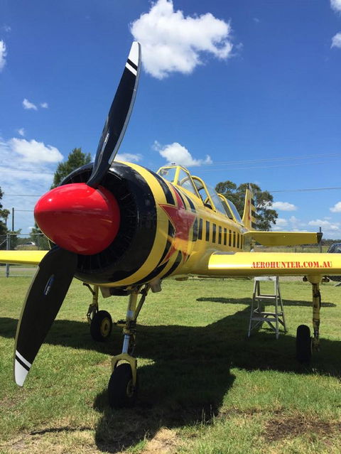 Aerohunter - Accommodation QLD 0