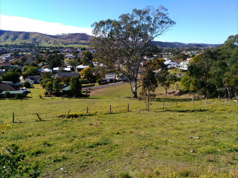 Apex Lookout Dungog - Accommodation QLD 1
