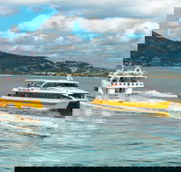 Apex Camps Magnetic Island Group Accommodation Activities and Events - Accommodation QLD