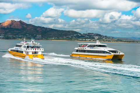 Apex Camps Magnetic Island Group Accommodation, Activities And Events - Accommodation QLD 0