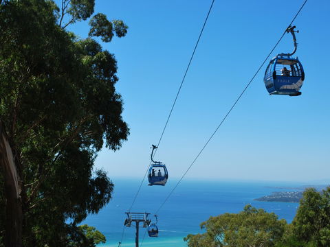 Arthurs Seat Eagle - Accommodation QLD 0