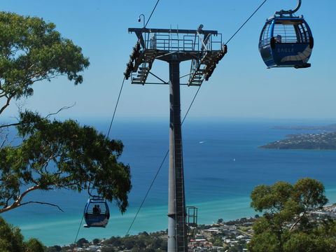 Arthurs Seat Eagle - Accommodation QLD 2
