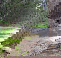 Bangadilly National Park - Accommodation QLD