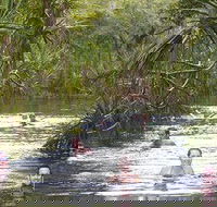 Berry Springs - Accommodation QLD