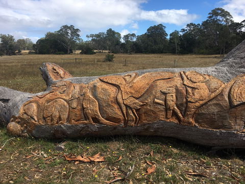 Bilston's Tree - Accommodation QLD 1