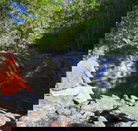 Booloumba Falls Walk Conondale National Park - Accommodation QLD