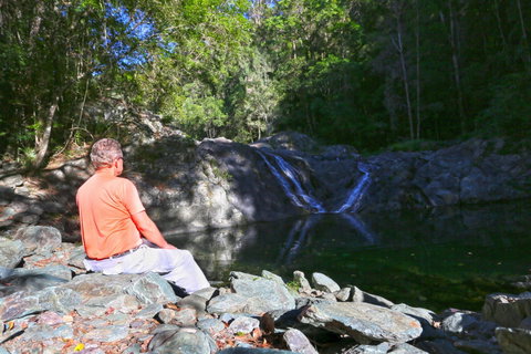 Booloumba Falls Walk, Conondale National Park - Accommodation QLD 0