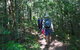 Booloumba Falls Walk, Conondale National Park - thumb 1