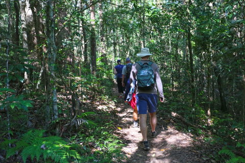 Booloumba Falls Walk, Conondale National Park - Accommodation QLD 1