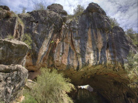 Borenore Karst Conservation Reserve - Accommodation QLD 0