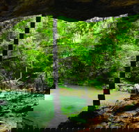 Buderim - Accommodation QLD