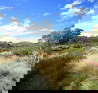 Bullocks walking track - Accommodation QLD