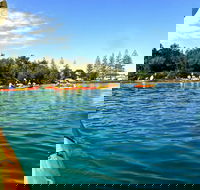 Byron Bay River Nature Kayak Tour - Accommodation QLD