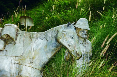 Centenary Park - Accommodation QLD 0