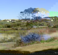 Centennial Park Beachport - Accommodation QLD