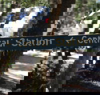 Central Station - Accommodation QLD