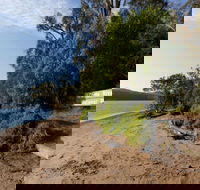 Clyde River National Park - Accommodation QLD