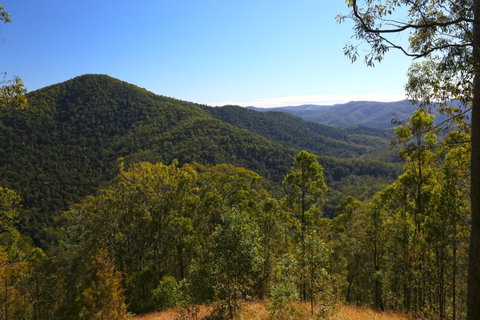 Conondale National Park - Accommodation QLD 0