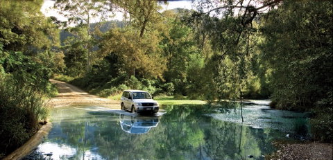 Conondale National Park - Accommodation QLD 1