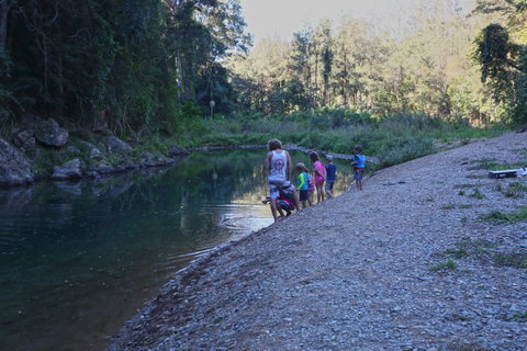 Conondale National Park - Accommodation QLD 2