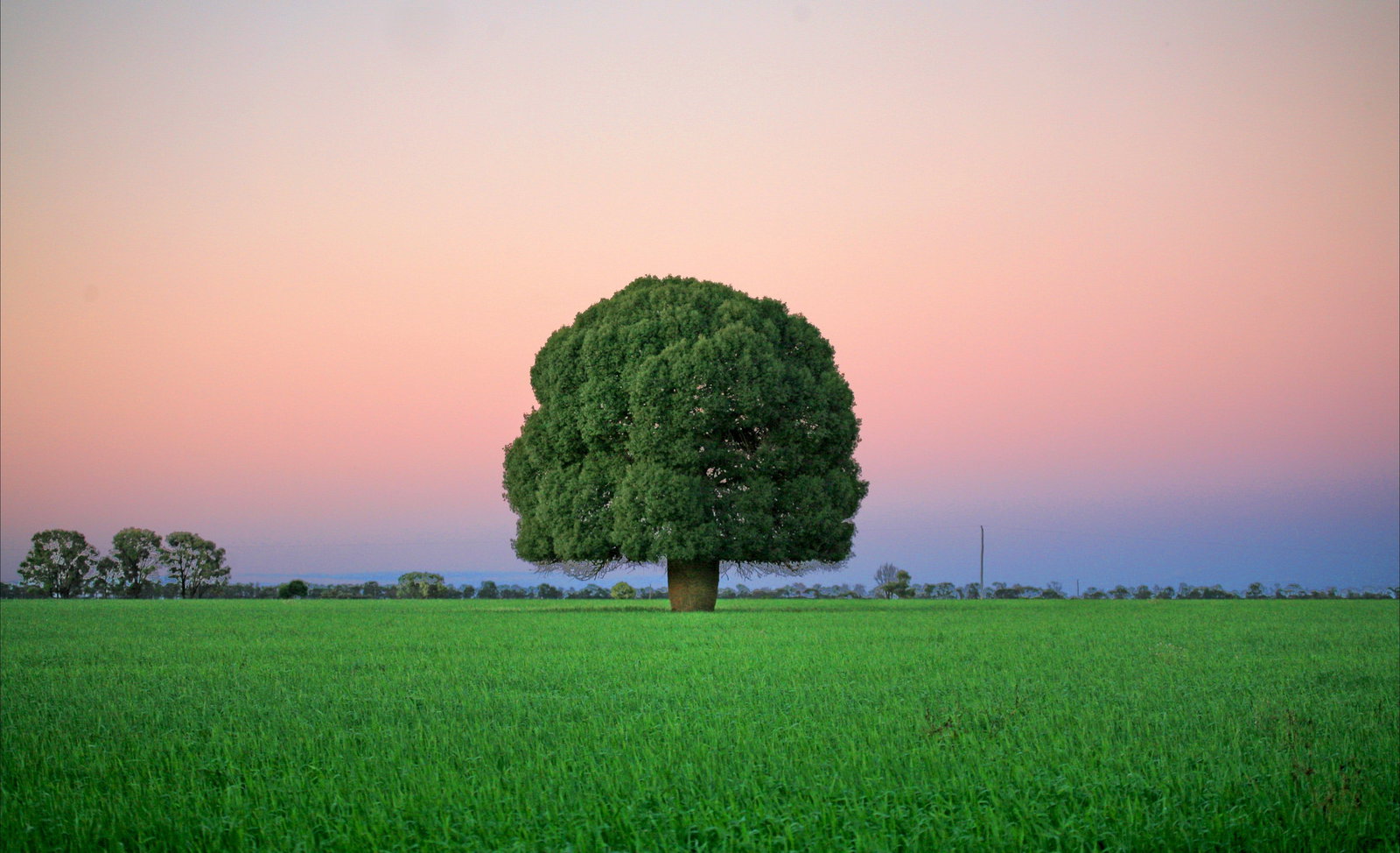 Yulabilla QLD Accommodation QLD