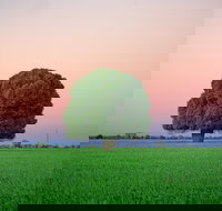 Condamine - Accommodation QLD