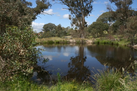 Cooleman Ridge - Accommodation QLD 0