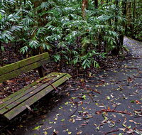 Coombadjha Nature Stroll - Accommodation QLD