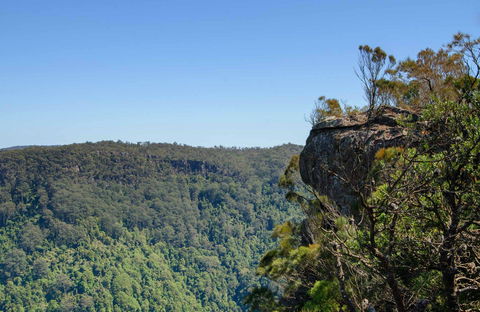 Cooks Nose Walking Track - Accommodation QLD 0