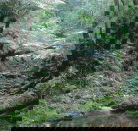 Corn Trail - Accommodation QLD