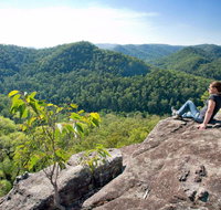 Dubbo Gully Loop Trail - Accommodation QLD