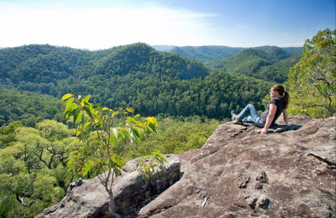 Dubbo Gully Loop Trail - Accommodation QLD 0