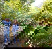 Endeavour Fern Gully Walks - Accommodation QLD