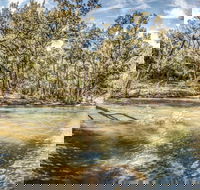 Flea Creek Picnic Area - Accommodation QLD