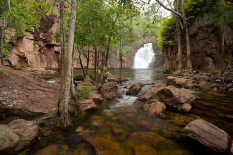 Florence Falls - Accommodation QLD 0