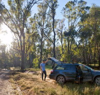 Forest Drive Murrumbidgee Valley National Park - Accommodation QLD