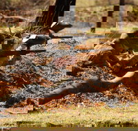 Freycinet Paintball and Campground - Accommodation QLD