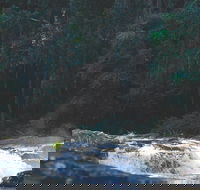 Gardners Falls - Accommodation QLD