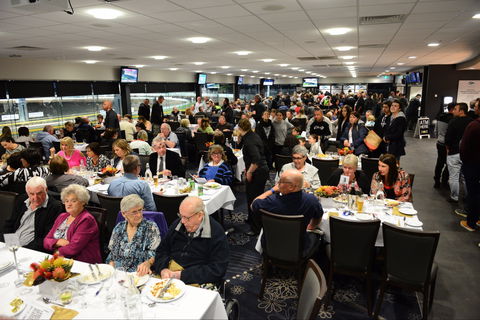 Geelong Greyhound Racing Club - The Beckley Centre - Accommodation QLD 1