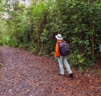 Gibraltar-Washpool World Heritage Walk - Accommodation QLD