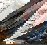 Goldfields at Ironbarks - Accommodation QLD